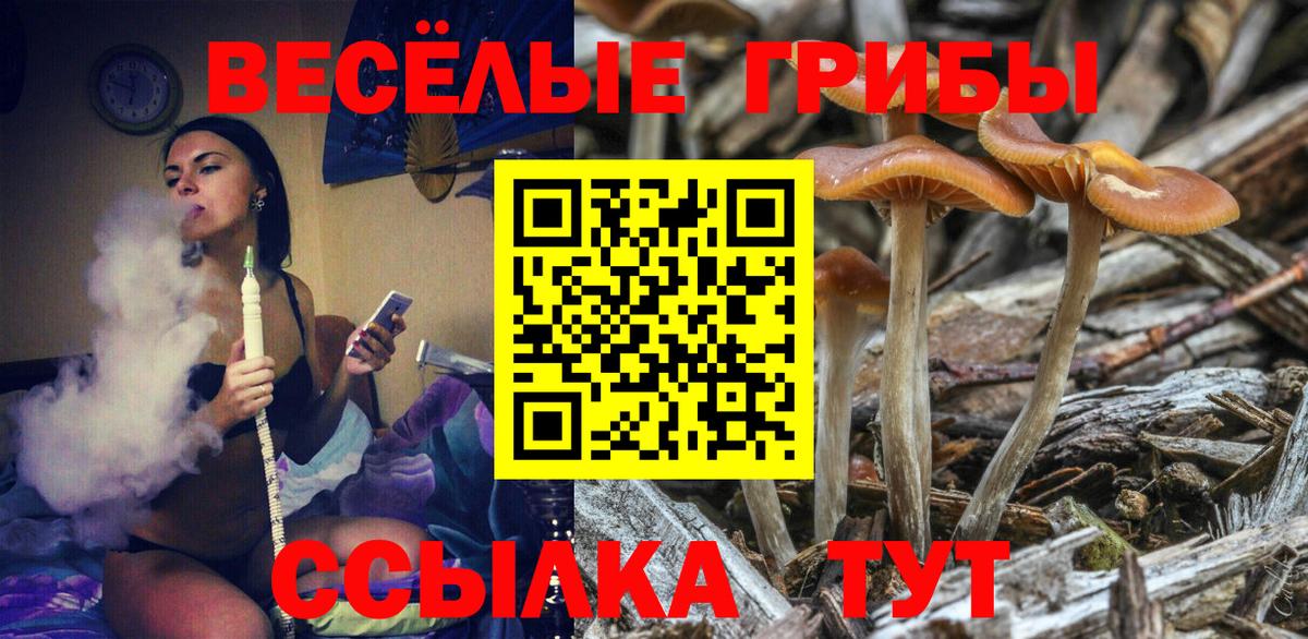 Кушва  Псилоцибиновые грибы Cubensis  Вход с VPN 